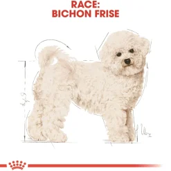 Royal Canin Hundefoder Royal Canin Bichon Frise Adult 1,5 kg - tørfoder til voksne hunde
