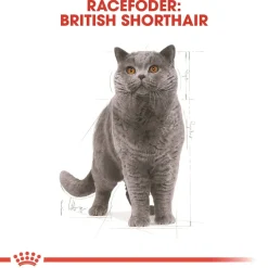 Royal Canin Kattefoder Royal Canin British shorthair 2 kg