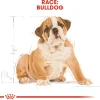 Royal Canin Hundefoder Royal Canin Bulldog Puppy 12 kg - tørfoder til hvalpe