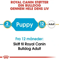 Royal Canin Hundefoder Royal Canin Bulldog Puppy 12 kg - tørfoder til hvalpe
