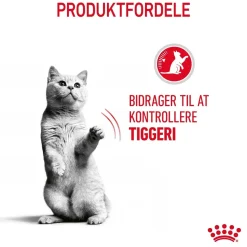 Royal Canin Kattefoder Royal Canin Care Appetite Control 3,5 kg