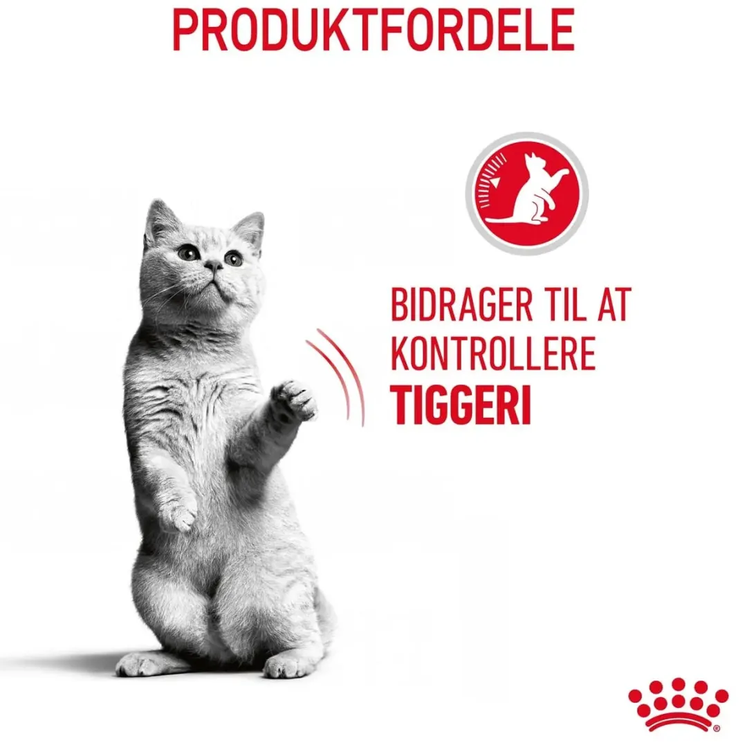 Royal Canin Kattefoder Royal Canin Care Appetite Control 3,5 kg