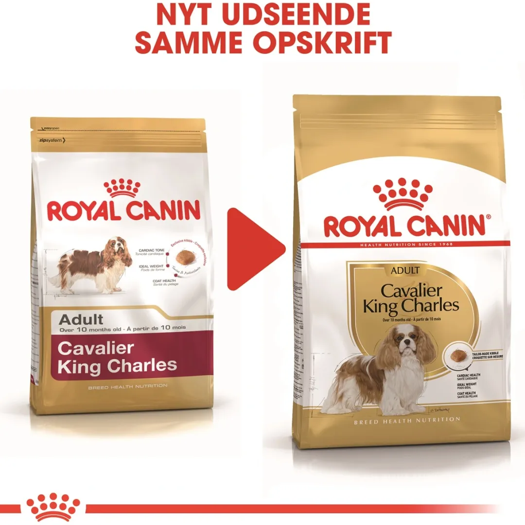 Royal Canin Hundefoder Royal Canin Cavalier King Charles Adult 1,5 kg - tørfoder til små hunde
