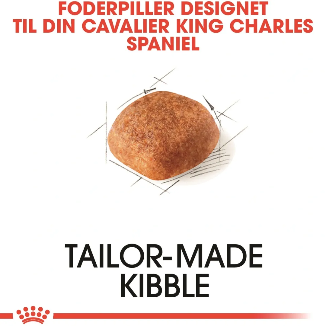 Royal Canin Hundefoder Royal Canin Cavalier King Charles Adult 1,5 kg - tørfoder til små hunde