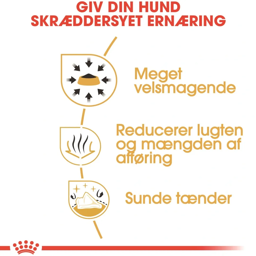 Royal Canin Hundefoder Royal Canin Chihuahua Adult 1,5 kg - tørfoder til små hunde