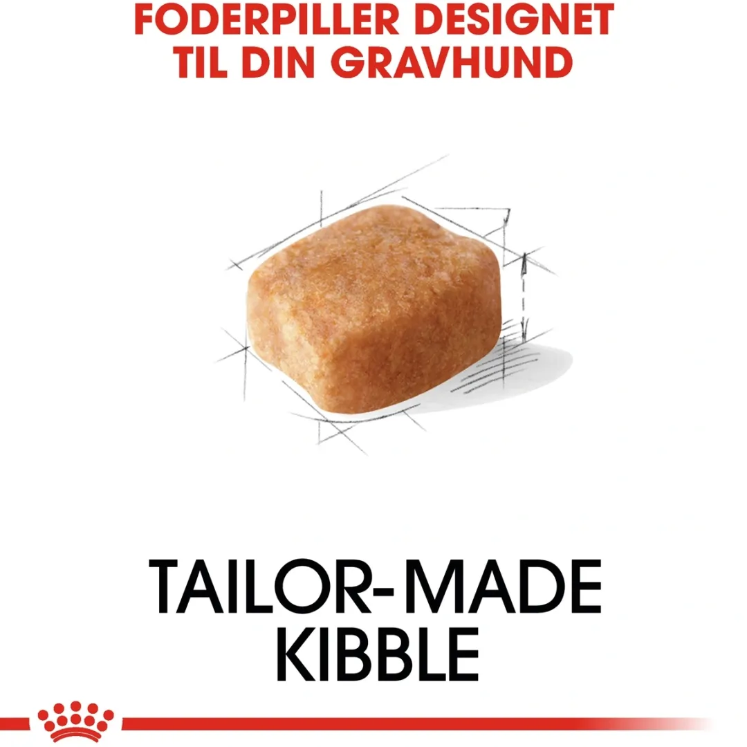 Royal Canin Hundefoder Royal Canin Dachshund Adult 1,5 kg - tørfoder til gravhunde