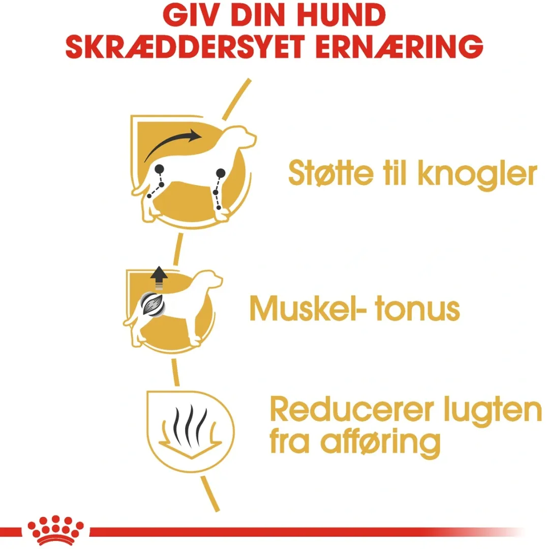 Royal Canin Hundefoder Royal Canin Dachshund Adult 1,5 kg - tørfoder til gravhunde