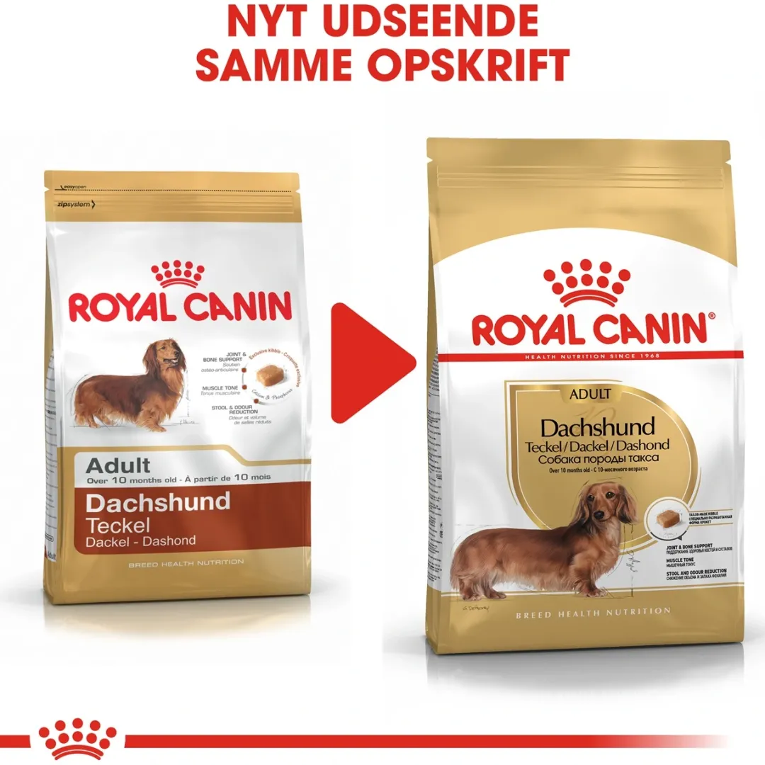 Royal Canin Hundefoder Royal Canin Dachshund Adult 1,5 kg - tørfoder til gravhunde