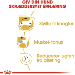 Royal Canin Hundefoder Royal Canin Dachshund Adult 7,5 kg - tørfoder til gravhunde