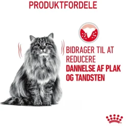Royal Canin Kattefoder Royal Canin Dental Care 400 gram