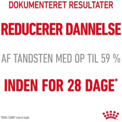 Royal Canin Kattefoder Royal Canin Dental Care 3,5 kg