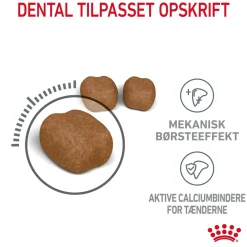 Royal Canin Kattefoder Royal Canin Dental Care 8 kg