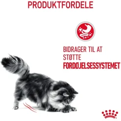 Royal Canin Kattefoder Royal Canin Digestive Care 400 gram