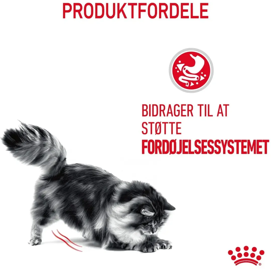 Royal Canin Kattefoder Royal Canin Digestive Care 2 kg