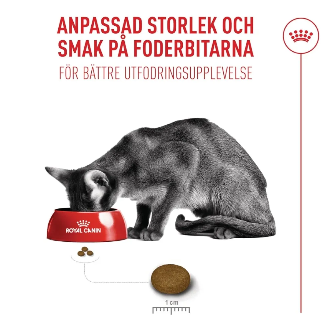 Royal Canin Kattefoder Royal Canin Exigent FHN Fussy 2 kg