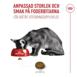 Royal Canin Kattefoder Royal Canin Exigent FHN Fussy 10kg