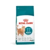 Royal Canin Kattefoder Royal Canin FHN Ageing Sterilised 11+ 4 kg