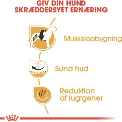 Royal Canin Hundefoder Royal Canin French Bulldog Adult 3 kg - tørfoder til voksne hunde