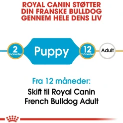 Royal Canin Hundefoder Royal Canin French Bulldog Puppy 3 kg - fuldfoder til hvalpe