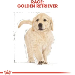 Royal Canin Hundefoder Royal Canin Golden Retriever Puppy 12 kg - tørfoder til hvalpe
