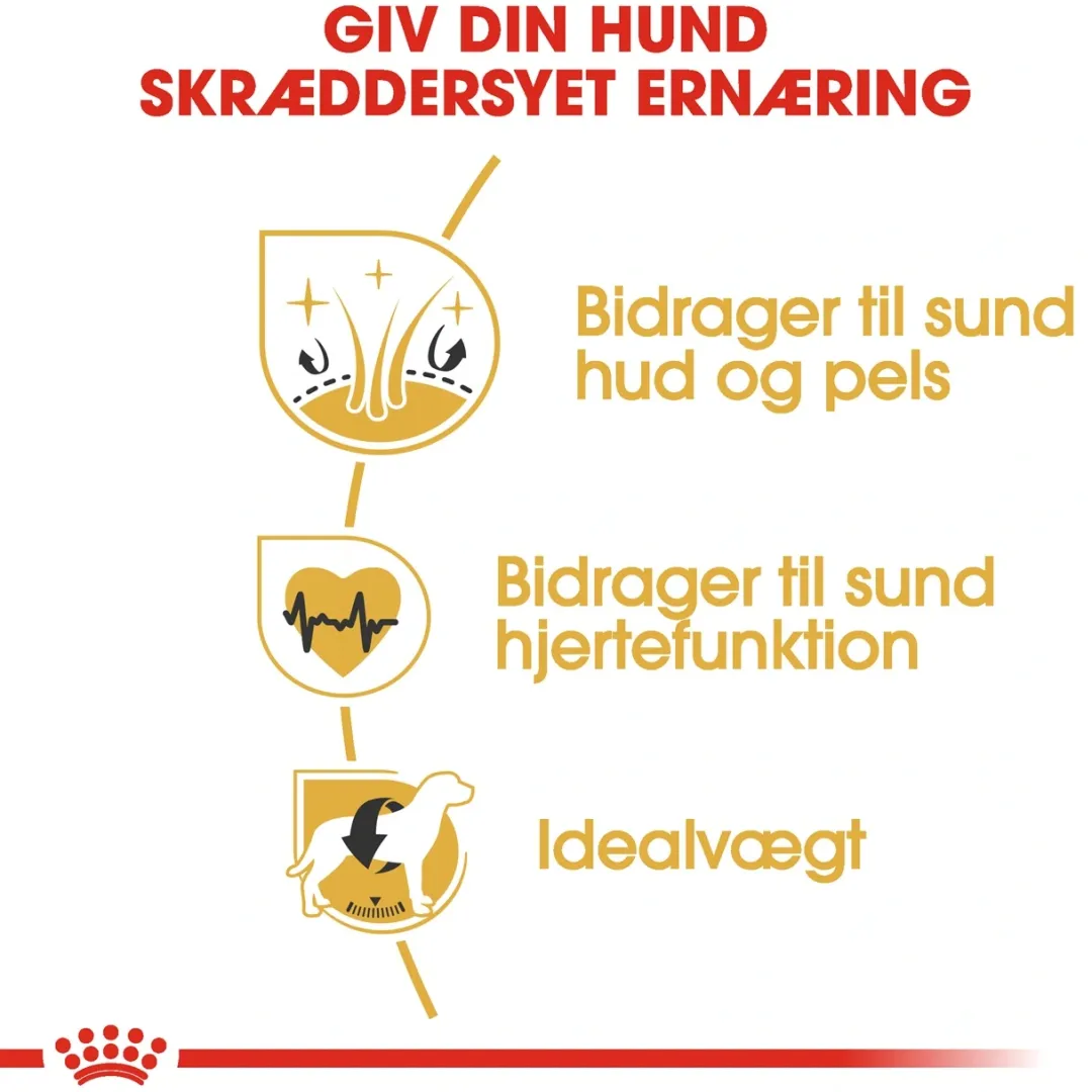 Royal Canin Hundefoder Royal Canin Golden Retriever Adult 12 kg - tørfoder til voksne hunde