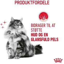 Royal Canin Kattefoder Royal Canin Hair and Skin 10 kg