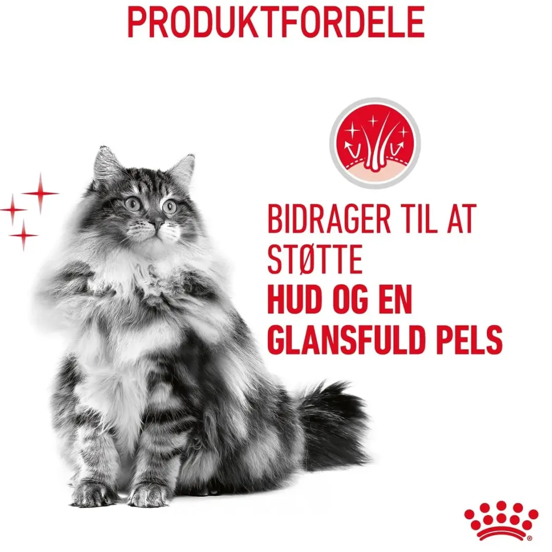 Royal Canin Kattefoder Royal Canin Hair and Skin 10 kg