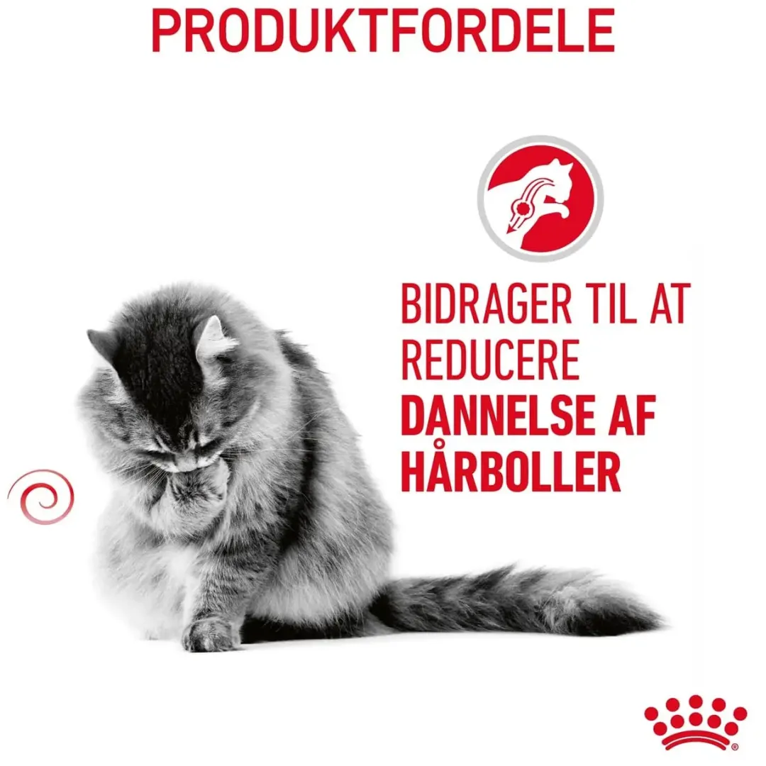 Royal Canin Kattefoder Royal Canin Hairball Care 2 kg