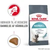 Royal Canin Kattefoder Royal Canin Hairball Care 10 kg