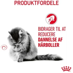 Royal Canin Kattefoder Royal Canin Hairball Care 10 kg