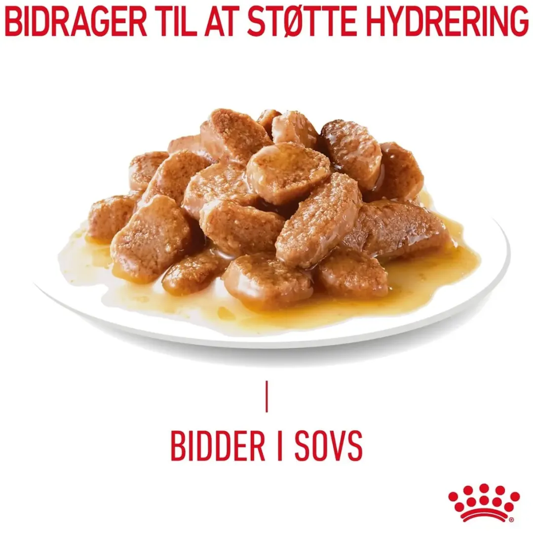 Royal Canin Kattefoder Royal Canin Hairball Care Sovs - vådfoder 85 g