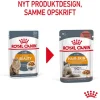 Royal Canin Kattefoder Royal Canin Hair & Skin Jelly - vådfoder 85 g