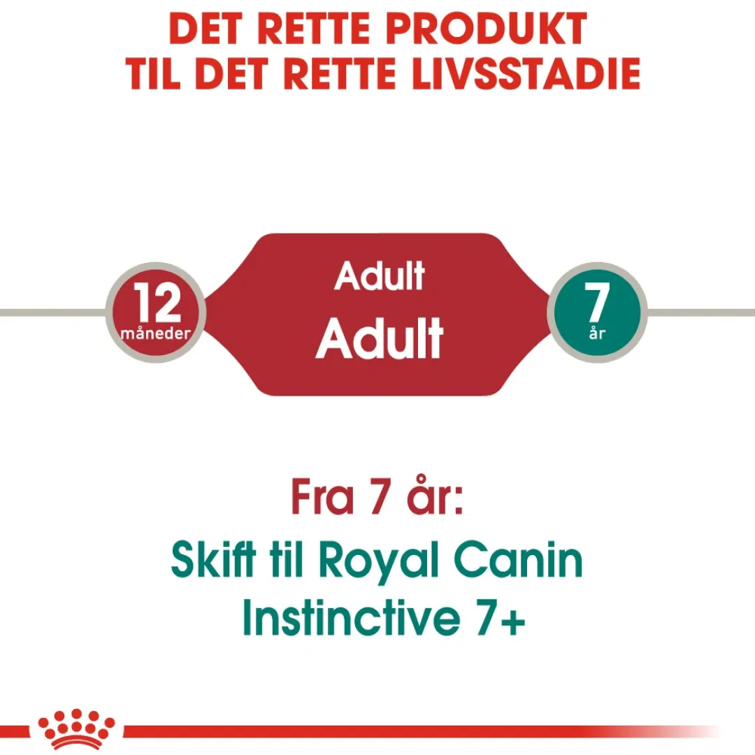 Royal Canin Kattefoder Royal Canin Instinctive Sovs - vådfoder 85 g