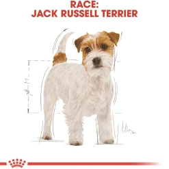 Royal Canin Hundefoder Royal Canin Jack Russell Adult 1,5 kg - tørfoder til voksne hunde