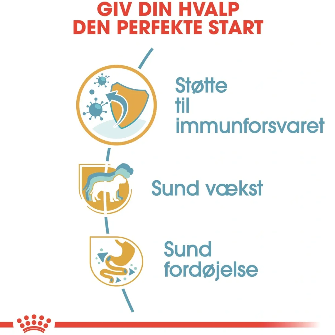 Royal Canin Hundefoder Royal Canin Jack Russell Puppy 1,5 kg - hvalpefoder til energi og vækst