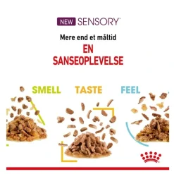 Royal Canin Kattefoder Royal Canin Kattevådmad Sensory Smell Sovs Adult
