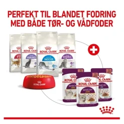 Royal Canin Kattefoder Royal Canin Kattevådmad Sensory Smell Sovs Adult