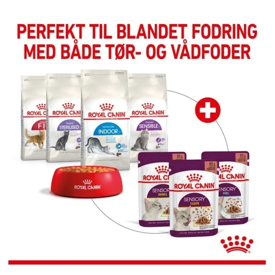 Royal Canin Kattefoder Royal Canin Kattevådmad Sensory Smell Sovs Adult