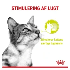 Royal Canin Kattefoder Royal Canin Kattevådmad Sensory Smell Sovs Adult