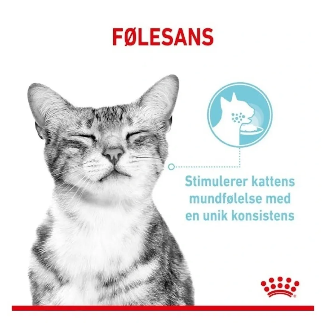 Royal Canin Kattefoder Royal Canin Kattevådmad Sensory Feel Sovs Adult