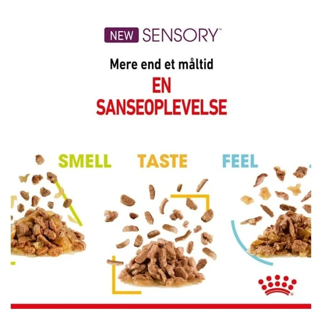Royal Canin Kattefoder Royal Canin Kattevådmad Sensory Feel Sovs Adult