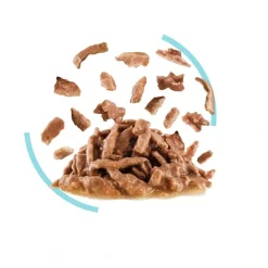 Royal Canin Kattefoder Royal Canin Kattevådmad Sensory Feel Sovs Adult