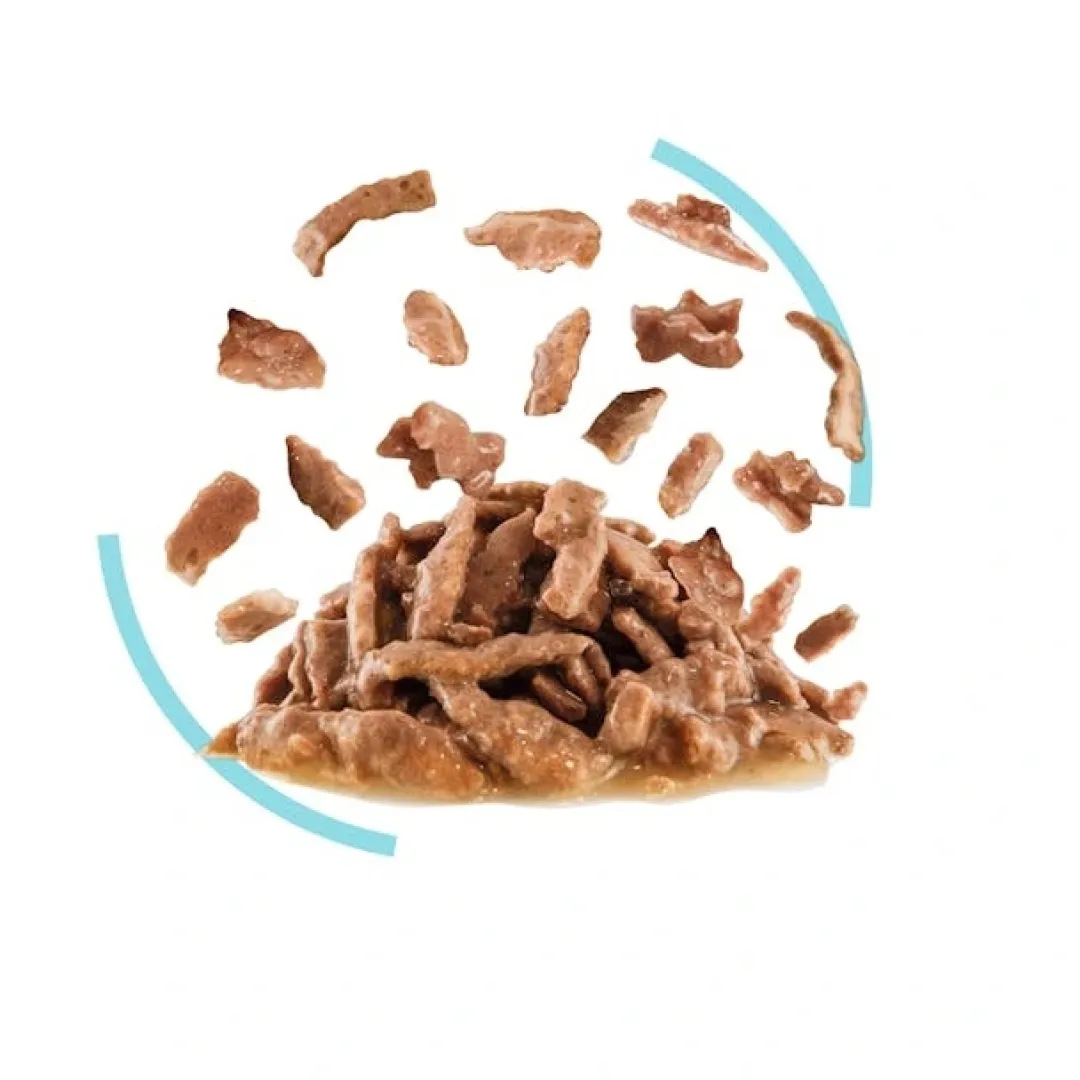 Royal Canin Kattefoder Royal Canin Kattevådmad Sensory Feel Sovs Adult