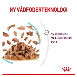 Royal Canin Kattefoder Royal Canin Kattevådmad Sensory Feel Sovs Adult