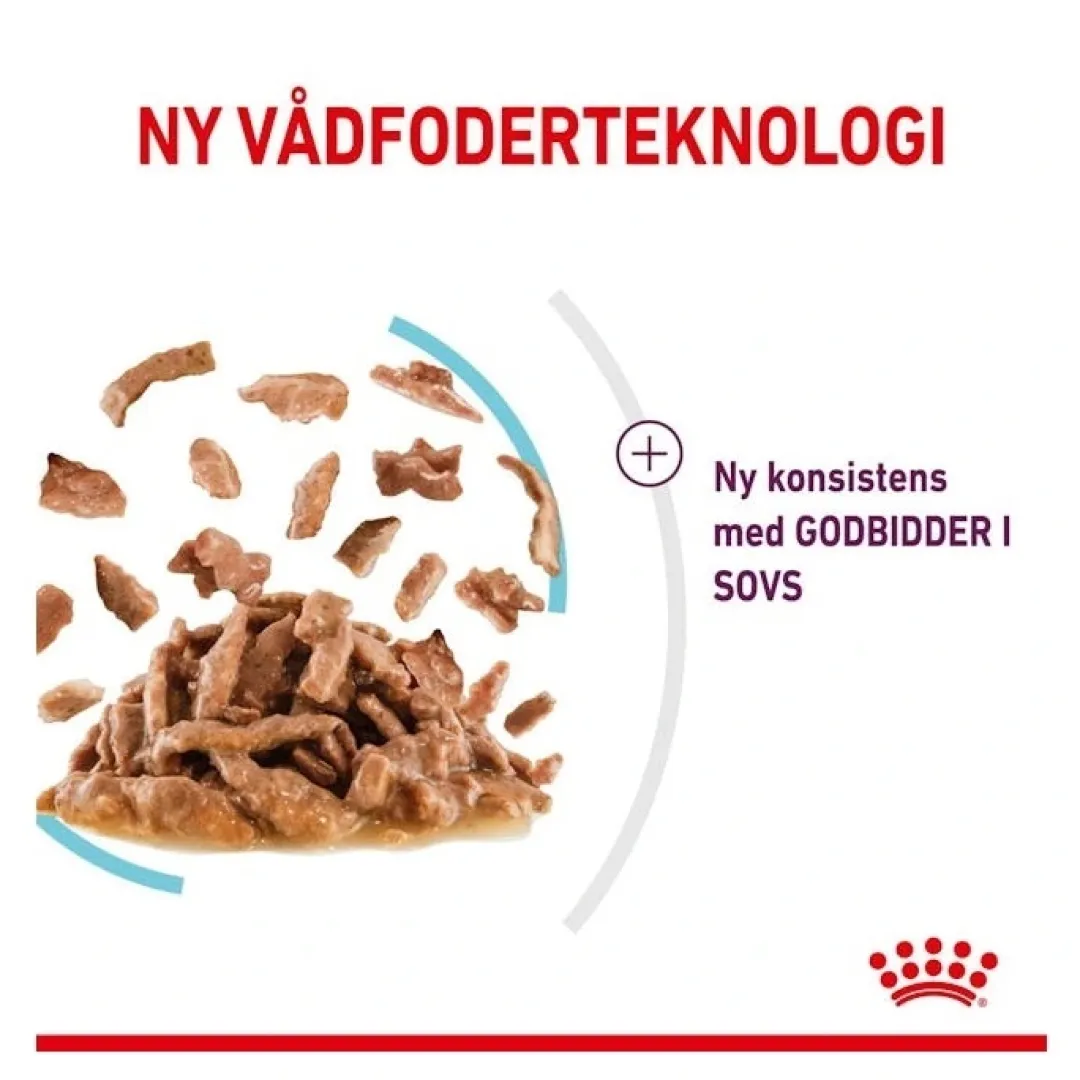 Royal Canin Kattefoder Royal Canin Kattevådmad Sensory Feel Sovs Adult