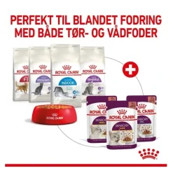 Royal Canin Kattefoder Royal Canin Kattevådmad Sensory Taste Sovs Adult