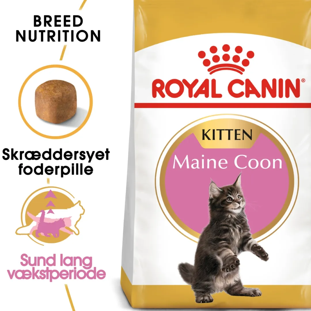 Royal Canin Kattefoder Royal Canin Kitten Maine Coon 4 kg