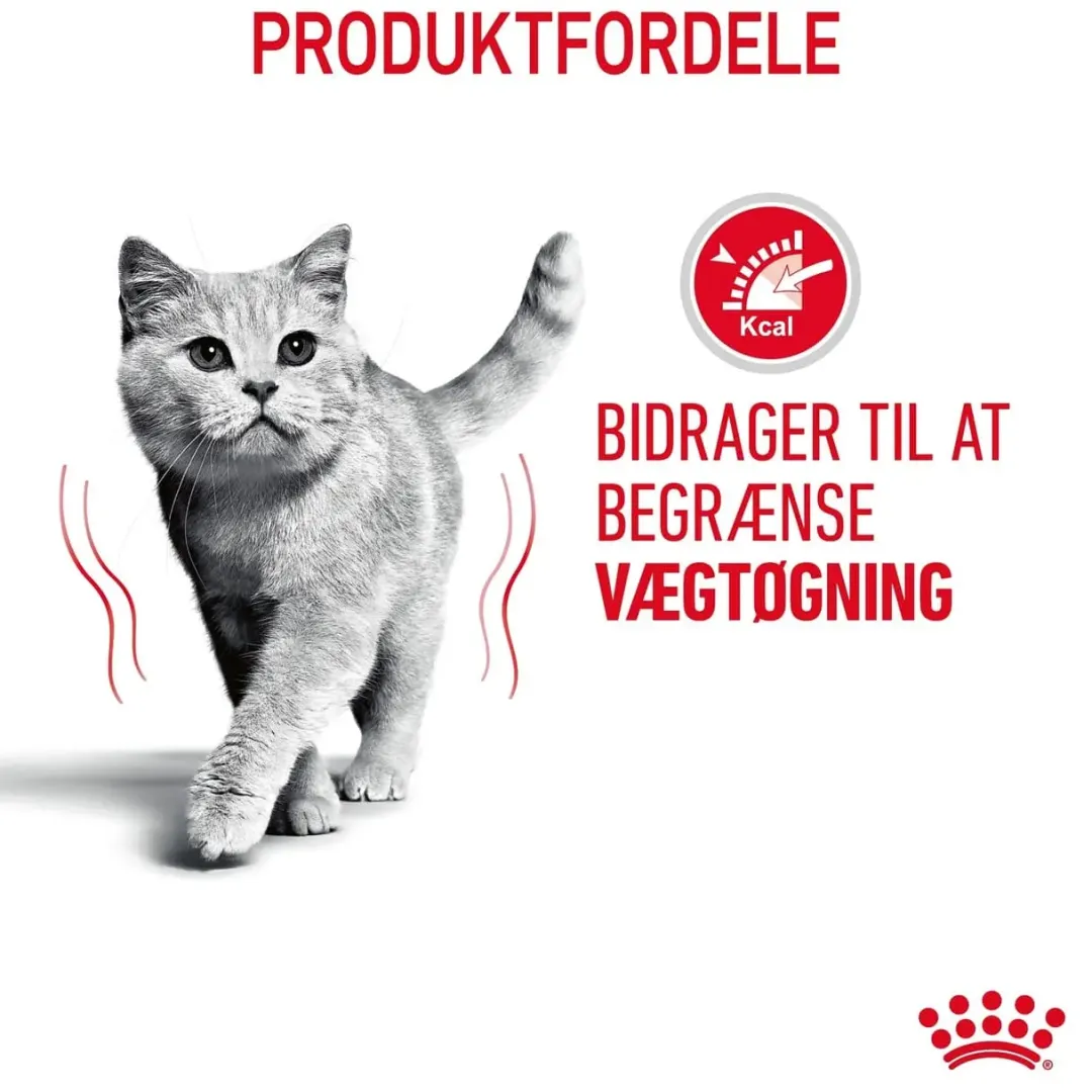 Royal Canin Kattefoder Royal Canin Light Weight Care 400 gram