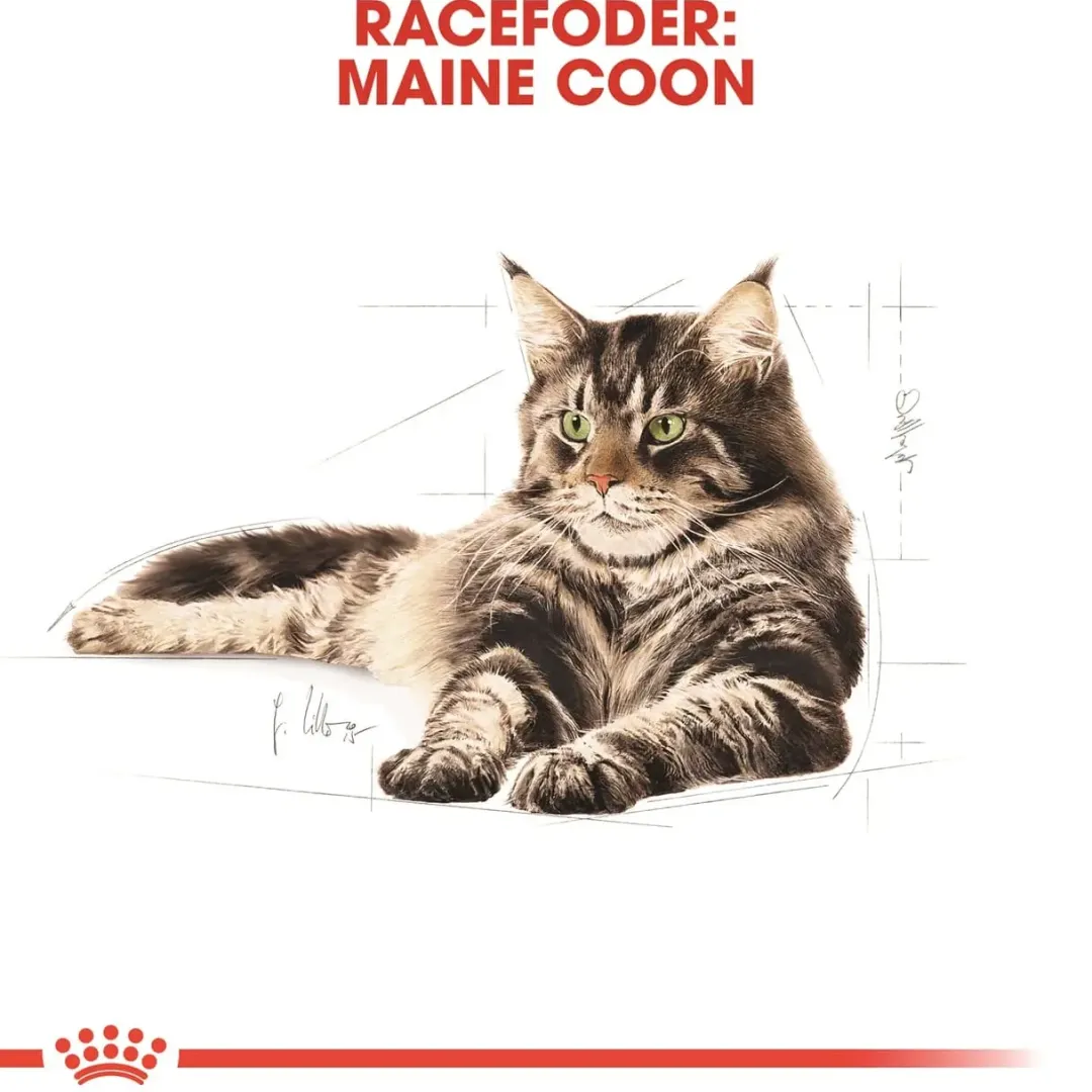 Royal Canin Kattefoder Royal Canin Maine Coon 2 kg