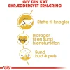 Royal Canin Kattefoder Royal Canin Maine Coon 4 kg